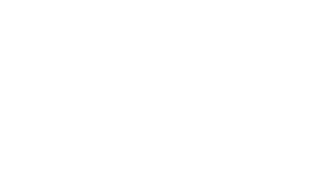 الاتحاد2